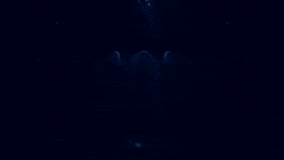 tumblr_pl83us7qVA1xh5qweo8_400.gif