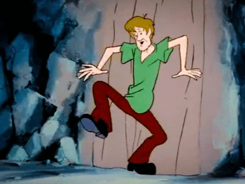 Image result for shaggy gifs