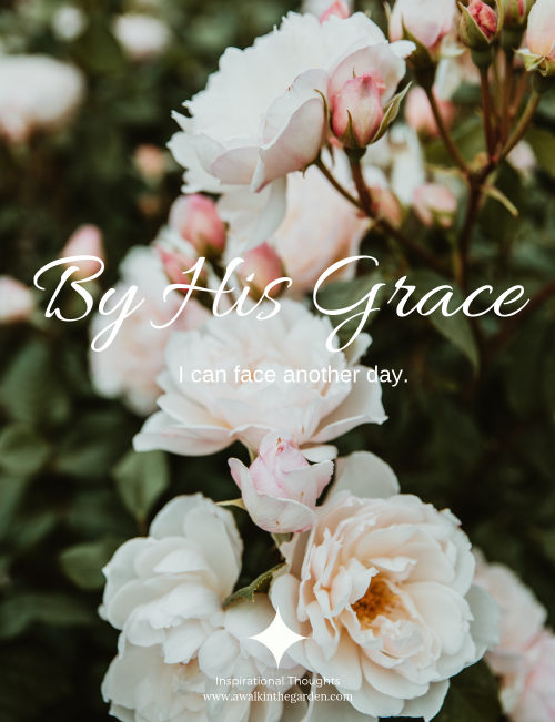 bibleversegarden