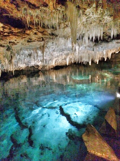 end0skeletal:Bermuda’s Crystal Caves - Approximately 1.6 million...