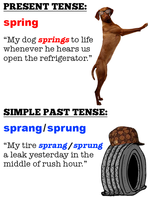 the-yuniversity-yo-grammar-what-s-up-with-spring-sprang