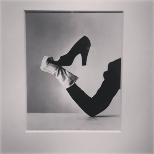 Quando a simplicidade é genial #irvingpenn #invingpennims...