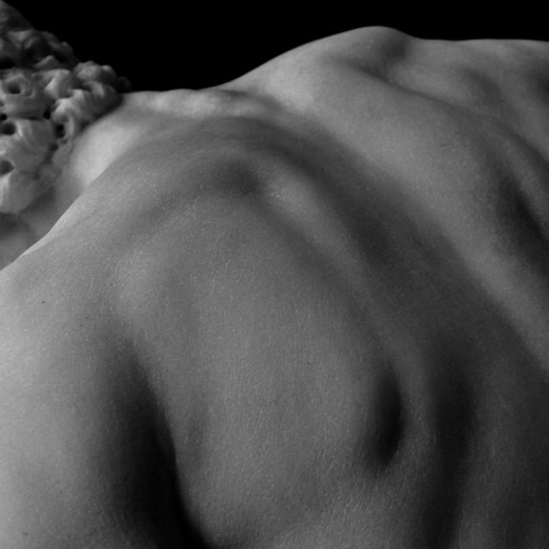 detailedart:Details: The Dying Gladiator, 1799, by Pierre...