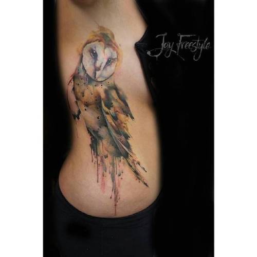 By Jay Freestyle, done at Dermadonna Custom Tattoos, Amsterdam.... animal;watercolor;bird;barn owl;facebook;twitter;jay freestyle;side