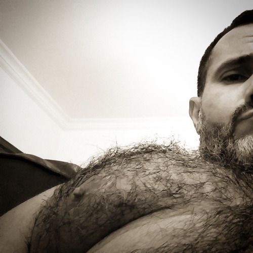 Oliviero 4 hairy!