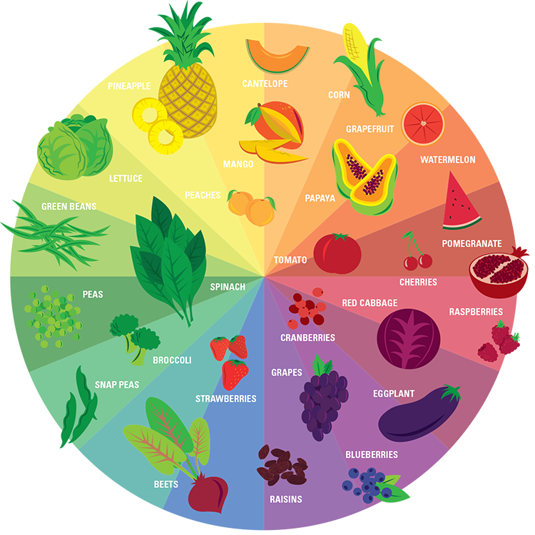 Food Color Wheel