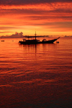 Lava, a photo from Surat Thani, South | TrekEarth