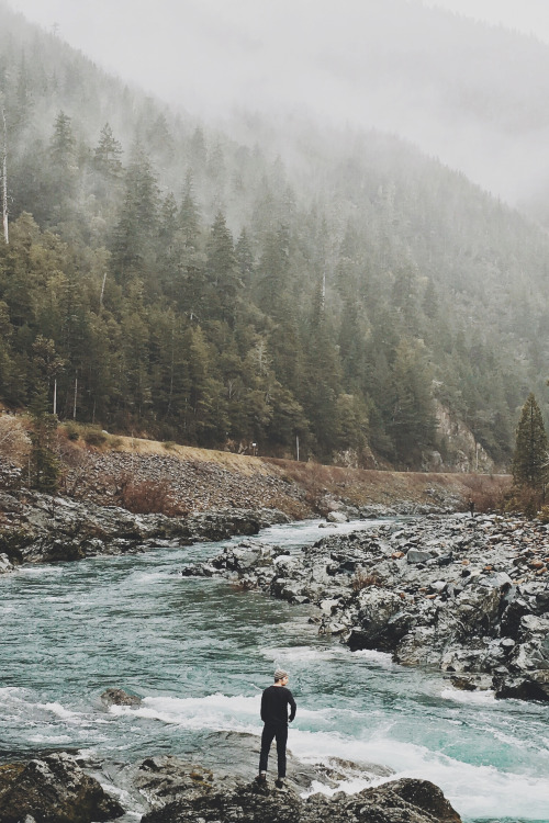 avenuesofinspiration:Into the Wild | Source © | AOI