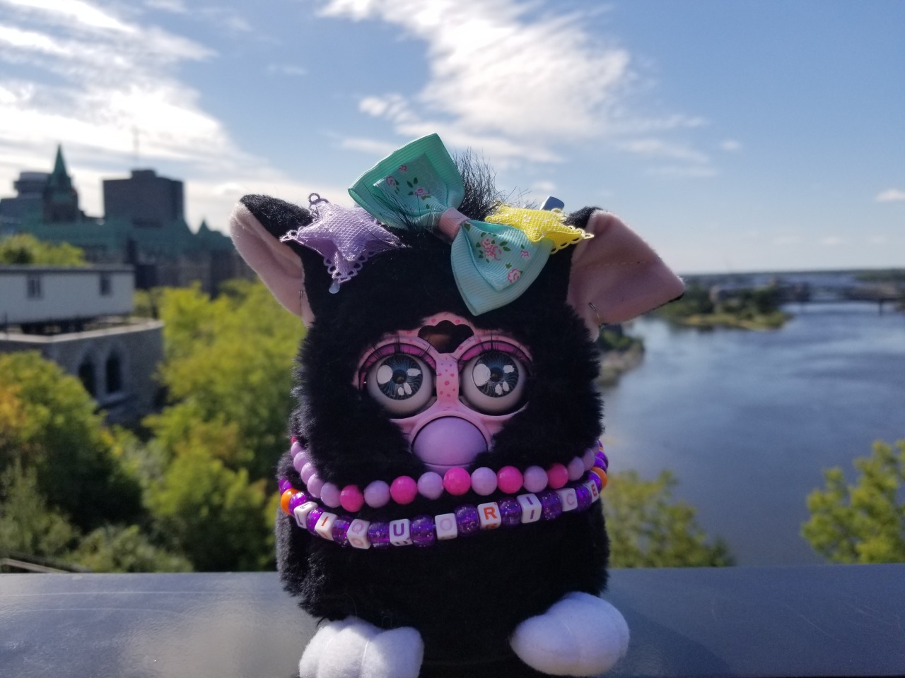 witches cat furby