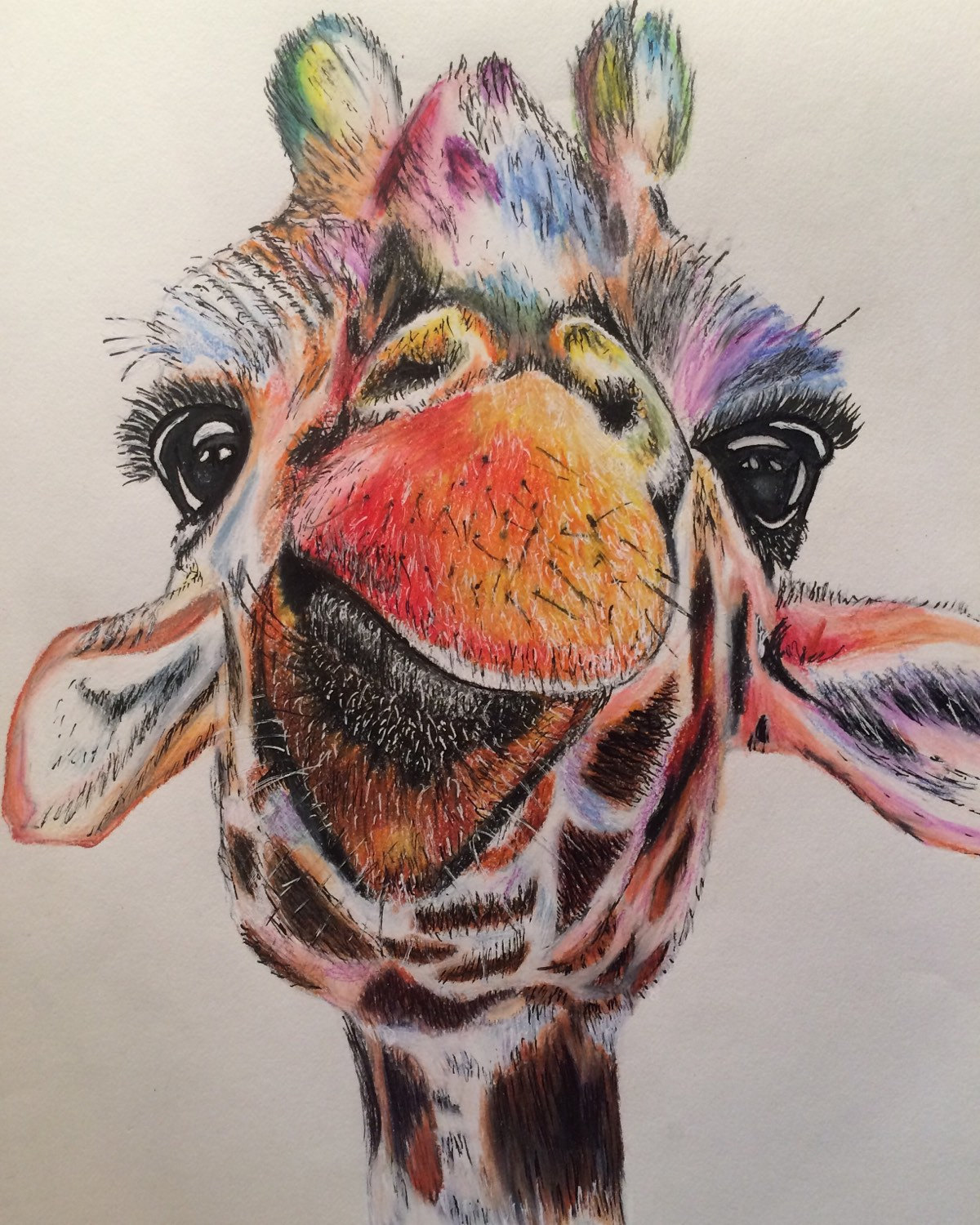 sketch is me — Colored Pencil Giraffe Drawing (print)