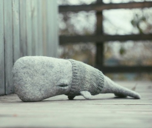 leparoxysmic:sosuperawesome:Felted Soft...