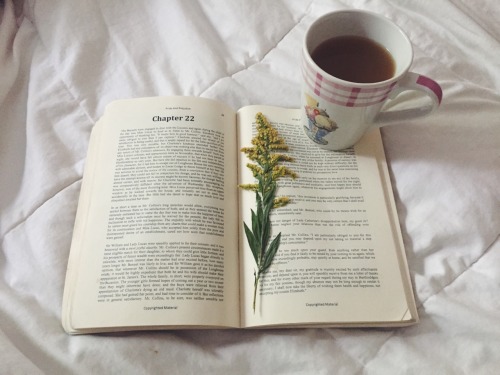 jane austen flowers pride and prejudice mr darcy classic literature period drama literature elizabeth bennet favourite things