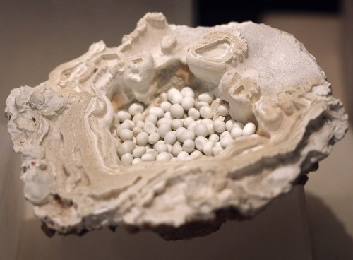 earthstory:Birds nest aragoniteAlso known as cave pearls, these...