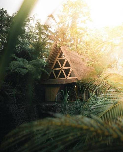 Here’s a tropical A-frame for your Monday. Because...