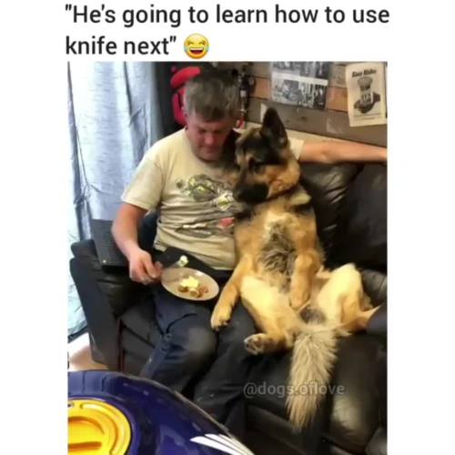 awwsfordays