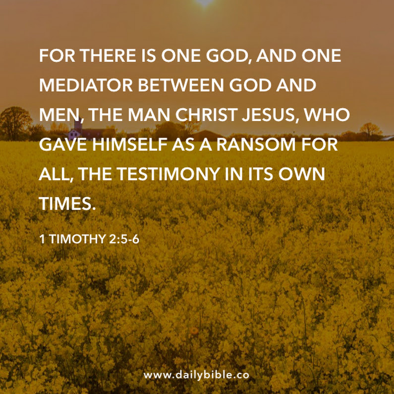 The Living 1 Timothy 25 6 Web For There Is One God