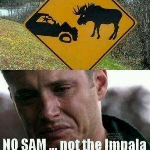 musestiel-in-the-impala:Ohhh Sam don’t make Dean cry!