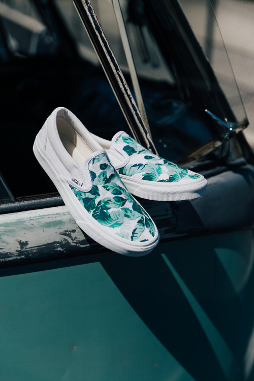 custom vans for girls