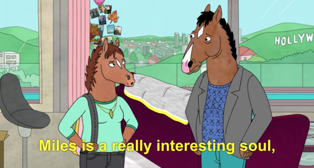 Everything Bojack Horseman