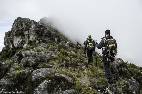 Let's Go For A Hike