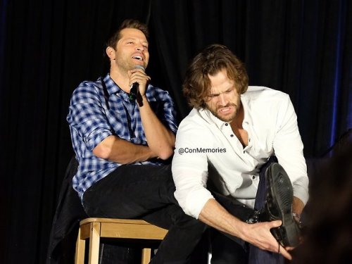 fandomismyspiritanimal:Jared taking off Misha’s shoeSPN UK CON...