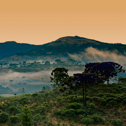 brazilwonders:Bom Jardim da Serra - Santa Catarina (via Santur...