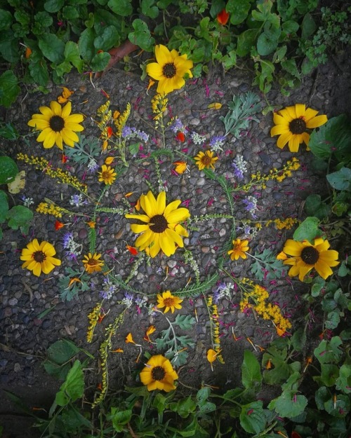 sailleengladelling:#mandala #flowerpower #summerflowers...