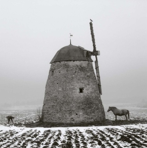 last-picture-show:Pentti Sammallahti, Gotland, Sweden, 1997