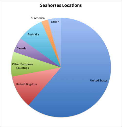 The Seahorses - Seahorse Statistics