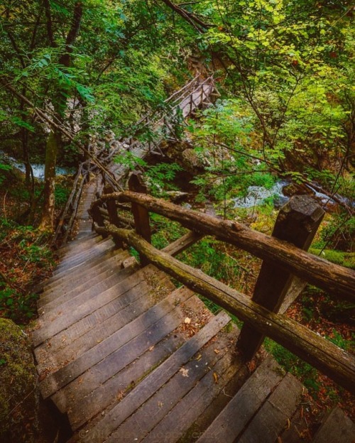 Nature trips#wooden #woodenstairs #nature #trees #forest...