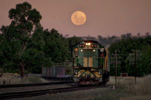 Cootamundra, NSW, Australia - Friday 28 December 2012...