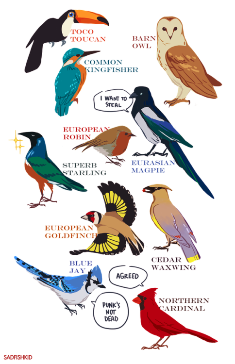 sadfishkid:just a bunch of my favourite birds