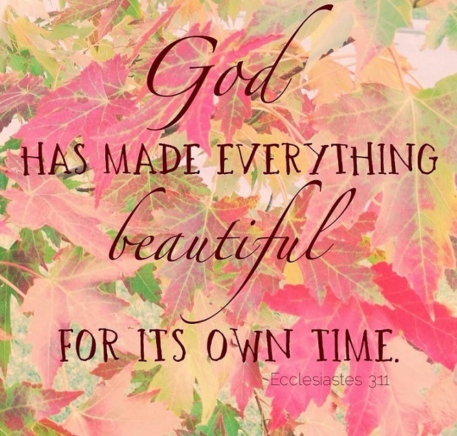 Ecclesiastes 3:11 (NLT) Yet God has made... | Faithful In Christ