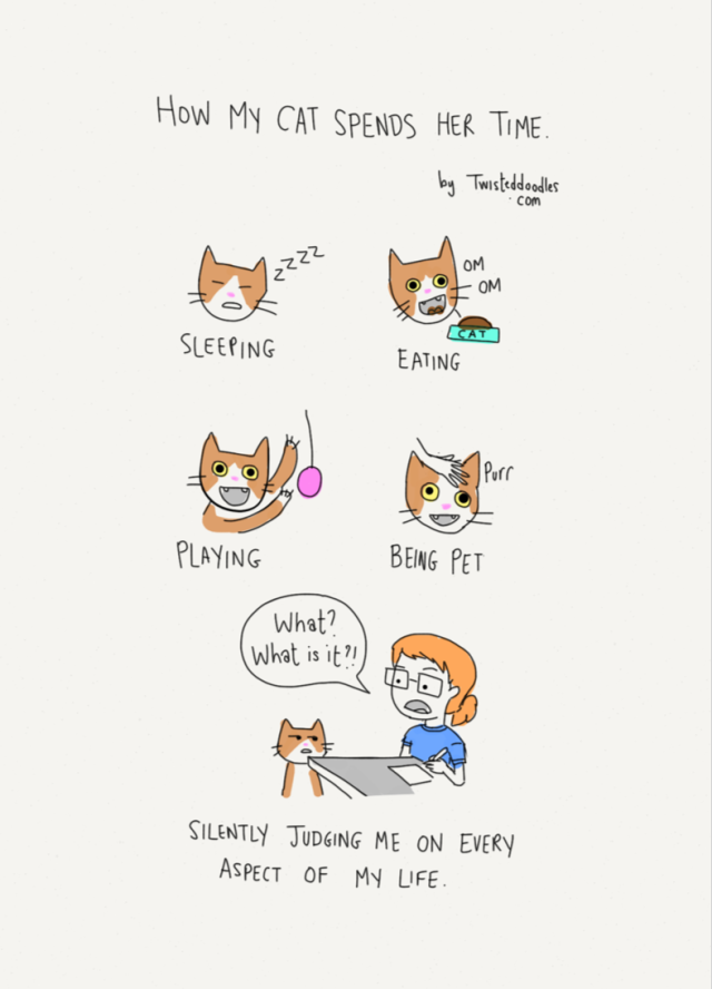 Tastefully Offensive — twisteddoodles How my cat spends her time.