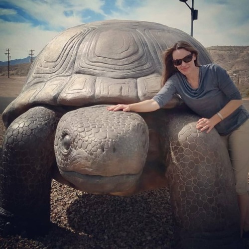 Are you a tortoise or a hare? Some thoughts on writing speed:...