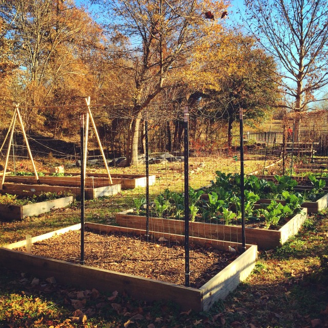 Food Park Near Piedmont