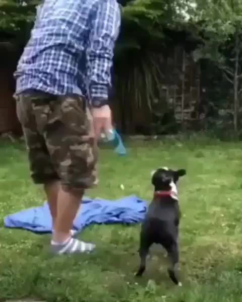 awwsfordays