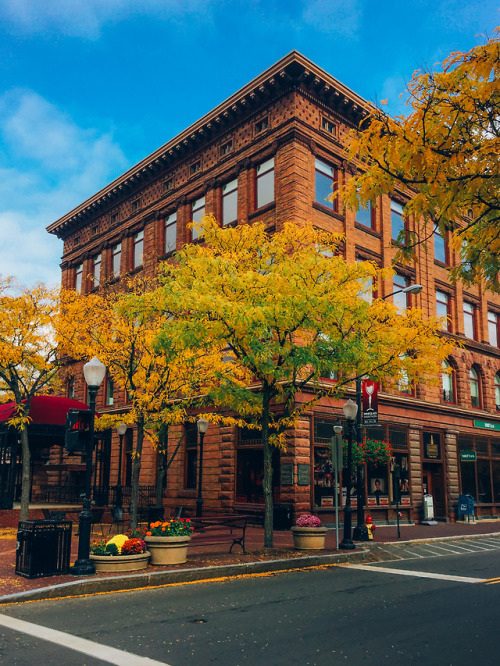 thegestianpoet-archive:downtown corning was so nice today (: 