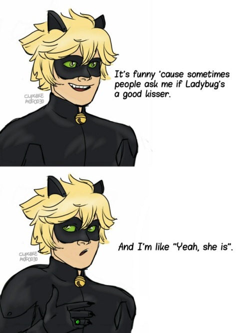 Miraculous Ladybug Tales Of Ladybug And Chat Noir Tumblr