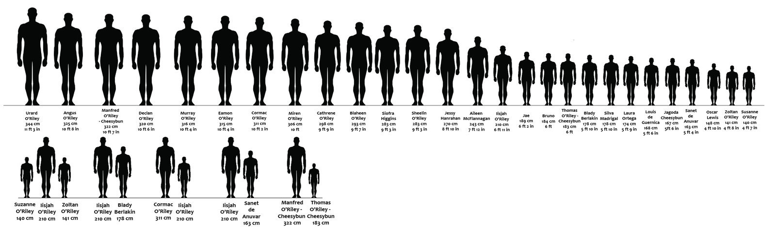 Height Chart With People