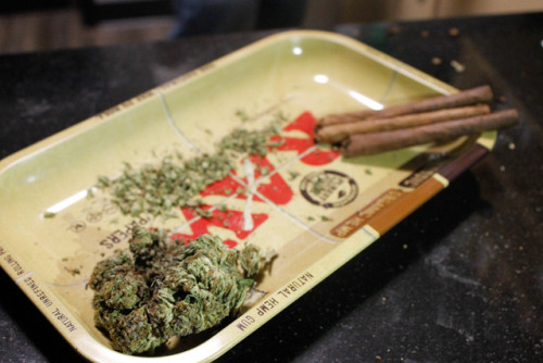 ripninhale420:Rollin up