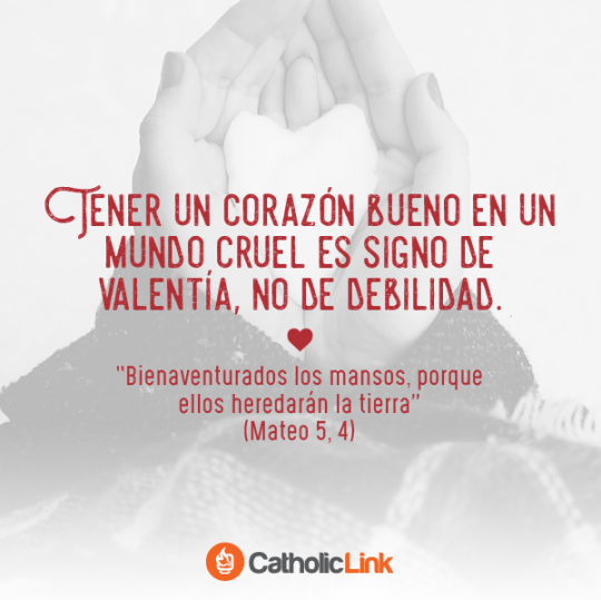 Biblioteca De Catholic Link Photo 2098