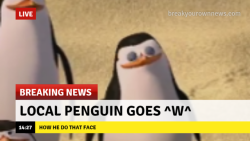 @3dspenguin