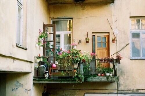 Balcony On Tumblr