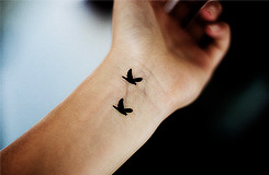 tumblr tattoos birds