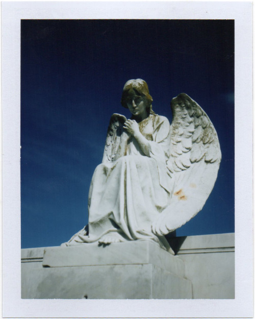 holy cross catholic cemetery mary statue