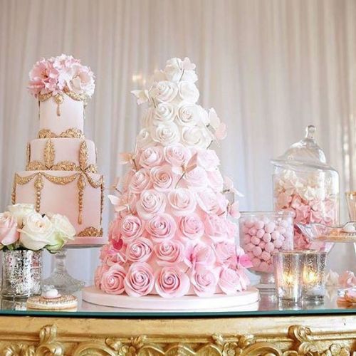 Rosette Cake Tumblr