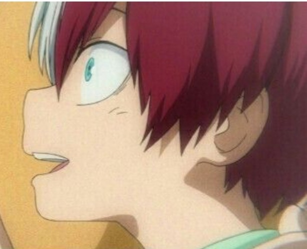 todoroki smile