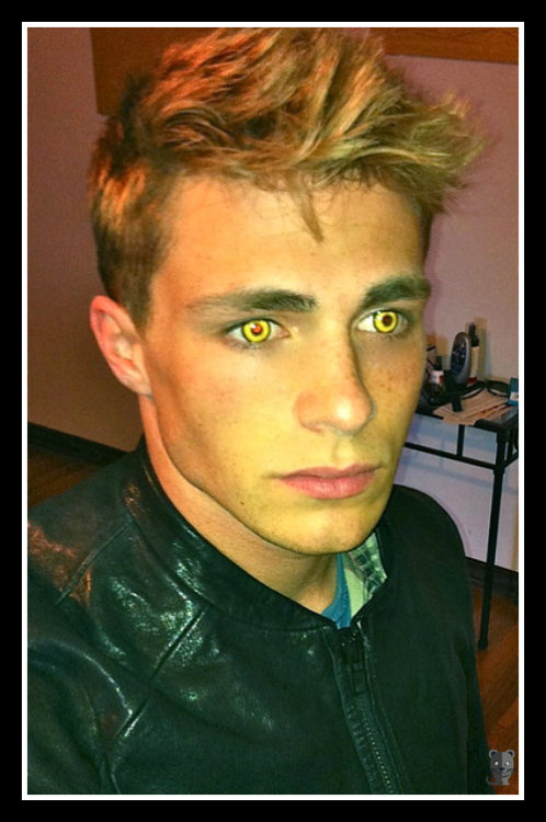 glamboyl:Colton Haynes golden eyes requested by Madchen. Enjoy...