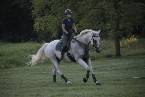 kremeroyale:One of my favorite late summer evening rides